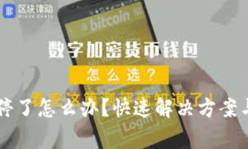 tpWallet矿机停了怎么办？快速解决方案与常见问题解析