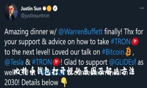 比特币钱包打开慢的原因及解决方法