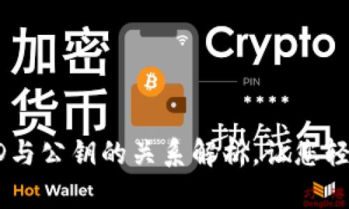比特币钱包ID与公钥的关系解析，让您轻松理解比特币