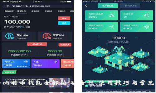 火币比特币钱包全解析：安全性、使用技巧与常见问题