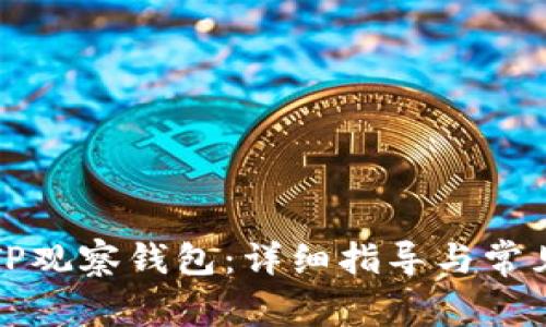如何进入TP观察钱包：详细指导与常见问题解答