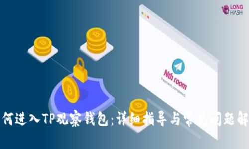 如何进入TP观察钱包：详细指导与常见问题解答