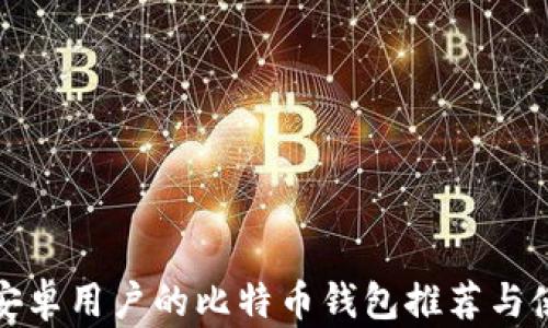 
最适合安卓用户的比特币钱包推荐与使用指南