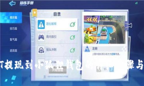 USDT提现到小狐狸钱包的详细步骤与技巧