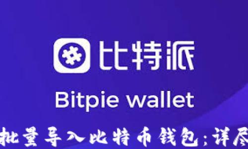 
如何批量导入比特币钱包：详尽指南