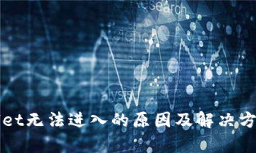 tpWallet无法进入的原因及解决方案分析