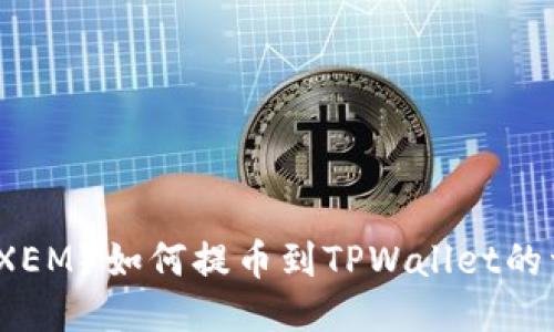 新经币（XEM）如何提币到TPWallet的详细教程
