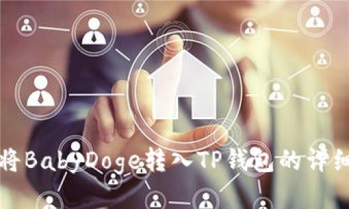 如何将BabyDoge转入TP钱包的详细指南