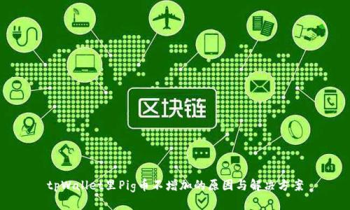 tpWallet里Pig币不增加的原因与解决方案
