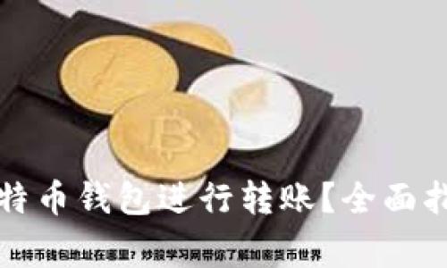 如何在中国使用比特币钱包进行转账？全面指南及常见问题解答