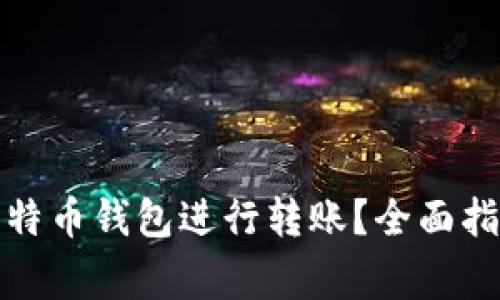 如何在中国使用比特币钱包进行转账？全面指南及常见问题解答
