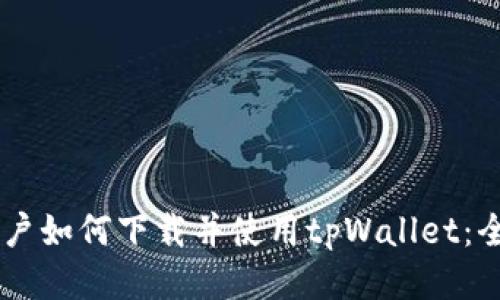 日本用户如何下载并使用tpWallet：全面指南