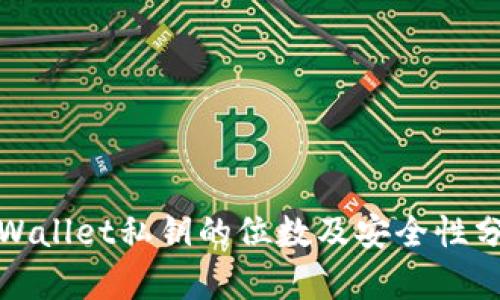 tpWallet私钥的位数及安全性分析