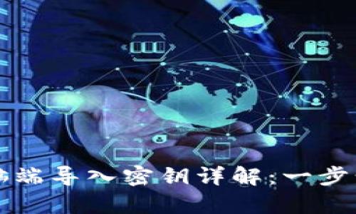 : tpWallet电脑端导入密钥详解：一步步教你轻松操作
