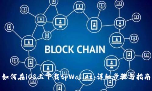 如何在iOS上下载tpWallet：详细步骤与指南