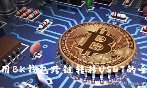 如何使用BK钱包跨链转移USDT的全面指南