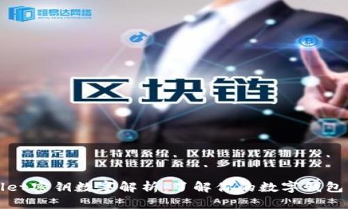 tpWallet密钥数字解析：了解你的数字钱包的核心