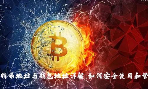 比特币地址与钱包地址详解：如何安全使用和管理