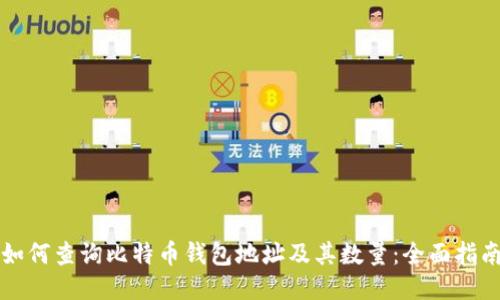 如何查询比特币钱包地址及其数量：全面指南