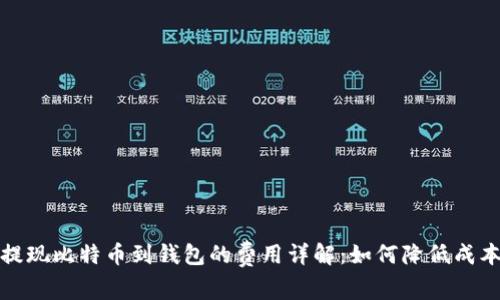 提现比特币到钱包的费用详解：如何降低成本