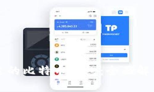 如何选择合适的比特币钱包：全面解析与使用指南