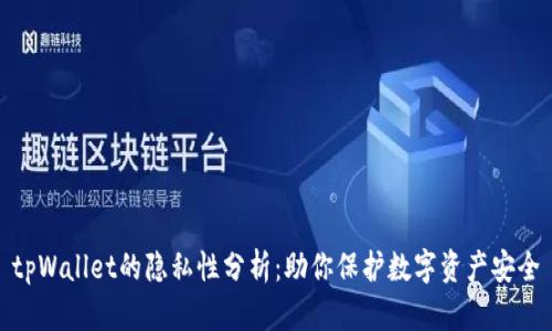 tpWallet的隐私性分析：助你保护数字资产安全