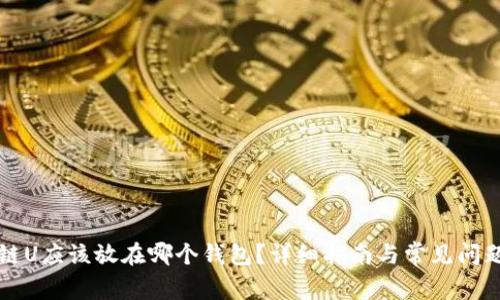区块链U应该放在哪个钱包？详细指南与常见问题解答
