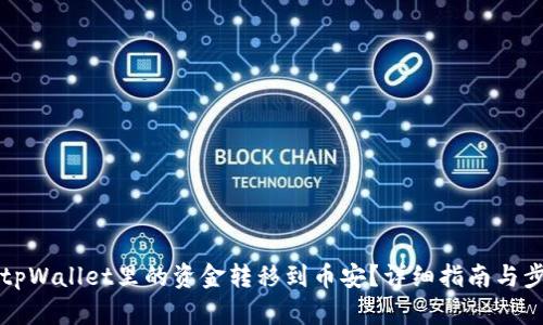 怎么将tpWallet里的资金转移到币安？详细指南与步骤解析