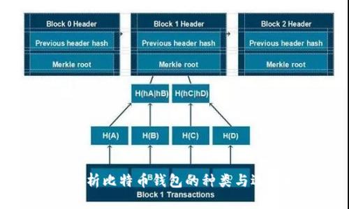 全面解析比特币钱包的种类与选择指南