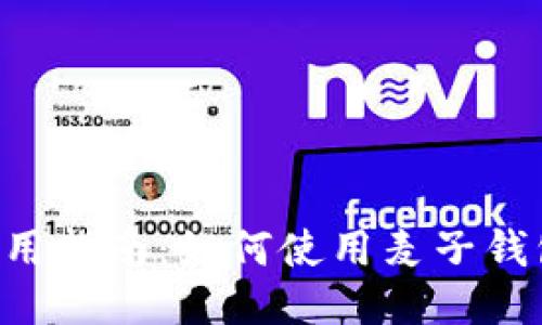 麦子钱包使用指南：如何使用麦子钱包购买USDT