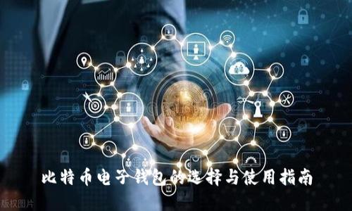 比特币电子钱包的选择与使用指南