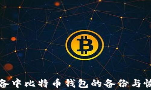 
苹果设备中比特币钱包的备份与恢复攻略