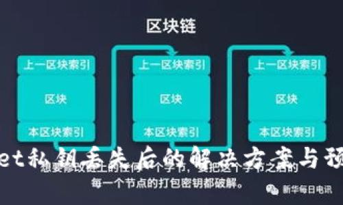 tpWallet私钥丢失后的解决方案与预防措施