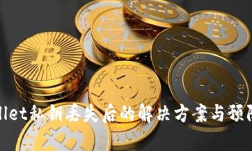 tpWallet私钥丢失后的解决方案与预防措施