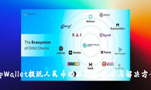 tpWallet提现人民币功能详解：现状与解决方案