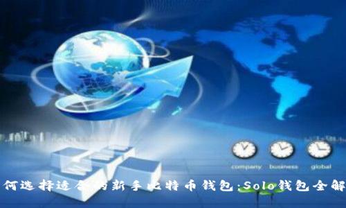 如何选择适合的新手比特币钱包：Solo钱包全解析