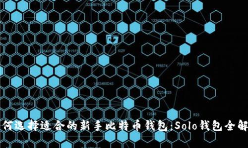如何选择适合的新手比特币钱包：Solo钱包全解析