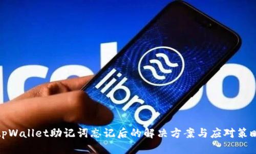 tpWallet助记词忘记后的解决方案与应对策略