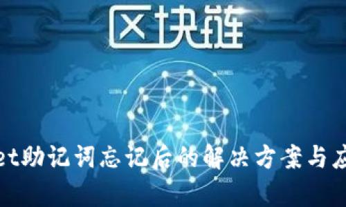 tpWallet助记词忘记后的解决方案与应对策略