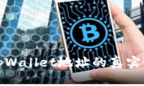 如何验证tpWallet地址的真实性及安全性