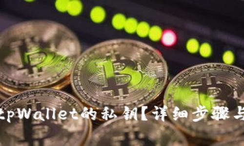 如何查看tpWallet的私钥？详细步骤与注意事项