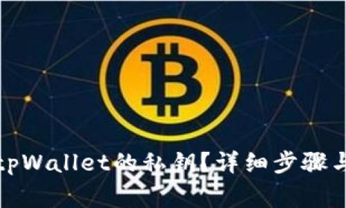 如何查看tpWallet的私钥？详细步骤与注意事项
