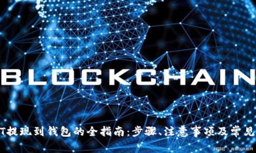 USDT提现到钱包的全指南：步骤、注意事项及常见问题