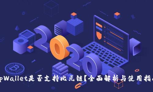 tpWallet是否支持比元链？全面解析与使用指南