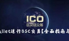 如何使用tpWallet进行BSC交易