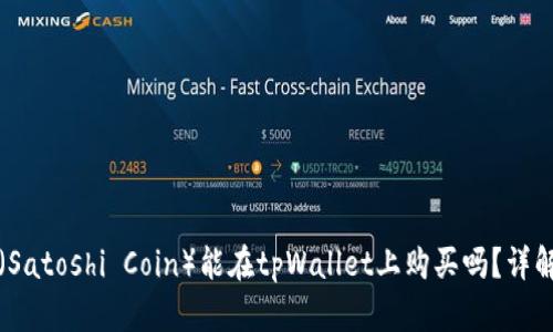 中本聪币（Satoshi Coin）能在tpWallet上购买吗？详解购买渠道