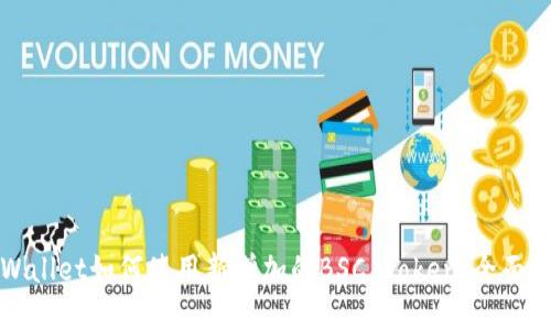 tpWallet如何使用新增加的BSC Token：全面指南