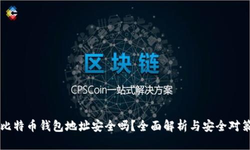 比特币钱包地址安全吗？全面解析与安全对策