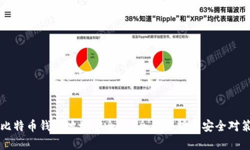 比特币钱包地址安全吗？全面解析与安全对策