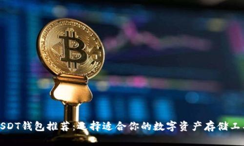 USDT钱包推荐：选择适合你的数字资产存储工具